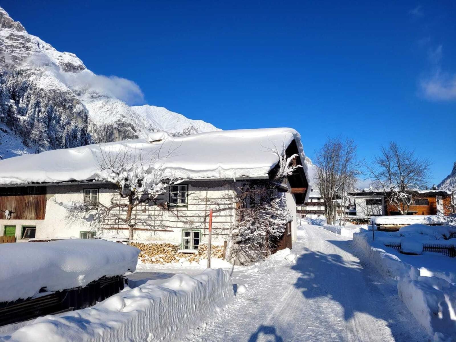 Chalet Alpenchalet Im Leutaschtal Leutasch