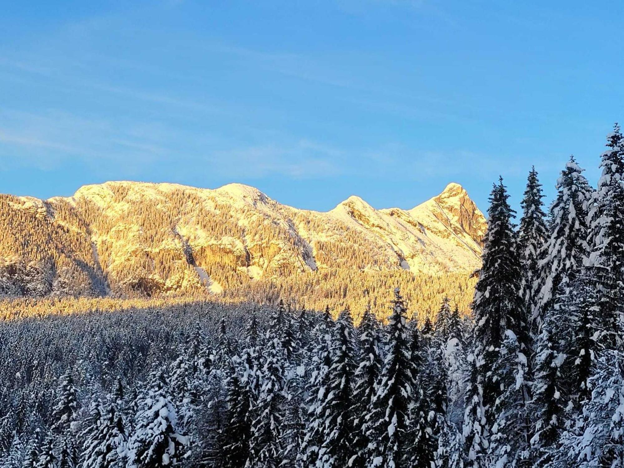 Alpenchalet Im Leutaschtal Chalet Leutasch